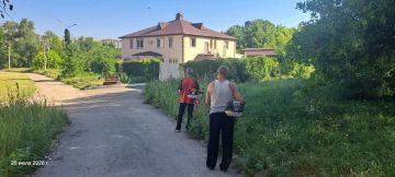 Елена Рязанцева: Сегодня Управой Пролетарского внутригородского района ведутся работы по покосу травы вдоль дороги по ул. Щетинина
