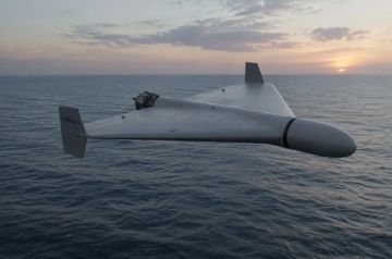 Кремль: Россия продолжит наносить удары по судам с оружием для Киева