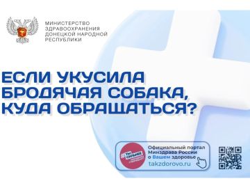 Если укусила бродячая собака, куда обращаться?