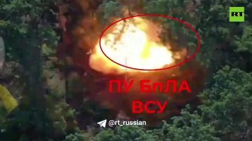 Российские операторы БПЛА разнесли скрытый в лесопосадках пункт управления дронами ВСУ в Белокузьминовке (ДНР)