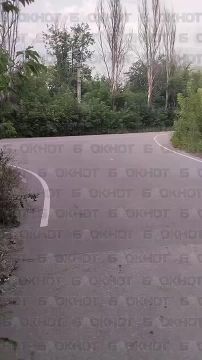 Заросла пышными кустами проезжая часть на Бирюзова 1 в Донецке