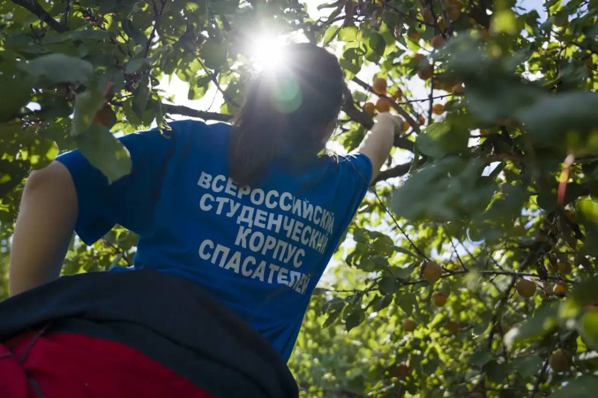 За участие в гуманитарной миссии благодарим добровольцев и специальный проект «Новые горизонты» от программы Росмолодежи «Больше, чем путешествие» За участие в гуманитарной миссии благодарим добровольцев и специальный проект «Новые горизонты» от программы Росмолодежи «Больше, чем путешествие»