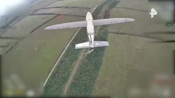 Кадры работы расчётов БПЛА спецназа группировки войск "Центр" во время освобождения населённого пункта Белицкое в ДНР опубликовало Минобороны РФ