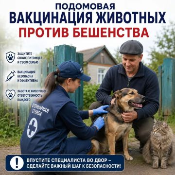 ГБУ"ГВБ Тельмановского района" подводит итоги первого полугодия 2026 года по подомовой вакцинации домашних животных от бешенства
