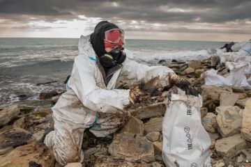 Открыт прием заявок на получение нагрудного знака «Доброволец России»