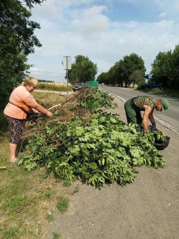 Общее дело для чистоты города Общее дело для чистоты города