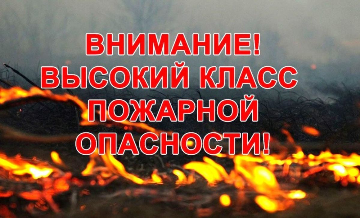 Роман Конев: Берегите природу от огня!. 24 июля 2026 года в ДНР ожидается высокая пожароопасность (4-й класс)