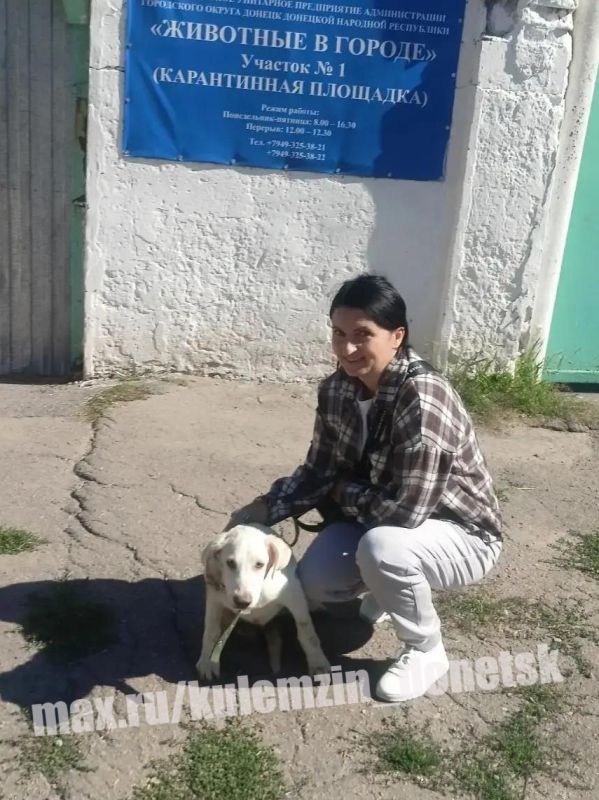 Работники предприятия «Животные в городе» ведут активную работу по помощи бездомным животным: занимаются их отловом, обеспечивают ветеринарное сопровождение и делают всё возможное, чтобы у каждого питомца появилась семья Работники предприятия «Животные в городе» ведут активную работу по помощи бездомным животным: занимаются их отловом, обеспечивают ветеринарное сопровождение и делают всё возможное, чтобы у каждого питомца появилась семья