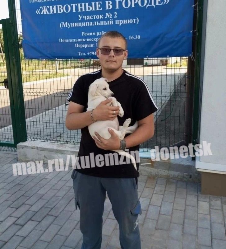 Работники предприятия «Животные в городе» ведут активную работу по помощи бездомным животным: занимаются их отловом, обеспечивают ветеринарное сопровождение и делают всё возможное, чтобы у каждого питомца появилась семья Работники предприятия «Животные в городе» ведут активную работу по помощи бездомным животным: занимаются их отловом, обеспечивают ветеринарное сопровождение и делают всё возможное, чтобы у каждого питомца появилась семья