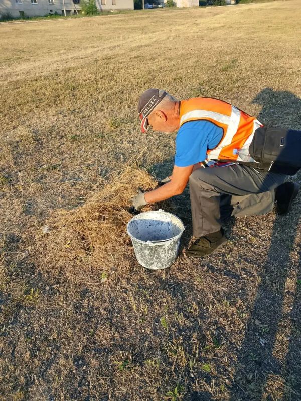 МБУ «Уютный округ»: итоги благоустройства за прошедшую неделю МБУ «Уютный округ»: итоги благоустройства за прошедшую неделю
