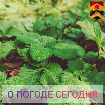 Гидрометцентр сообщил о погоде в Шахтерском округе
