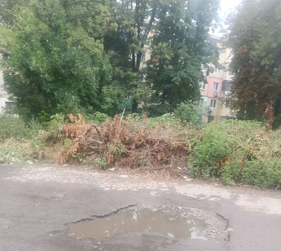 Сегодня, 24 июля, с целью приведения территории в надлежащее санитарное состояние в Кировском внутригородском районе выполнены работы по вывозу крупногабаритных накоплений мусора на контейнерных площадках по адресам: ул.... Сегодня, 24 июля, с целью приведения территории в надлежащее санитарное состояние в Кировском внутригородском районе выполнены работы по вывозу крупногабаритных накоплений мусора на контейнерных площадках по адресам: ул....