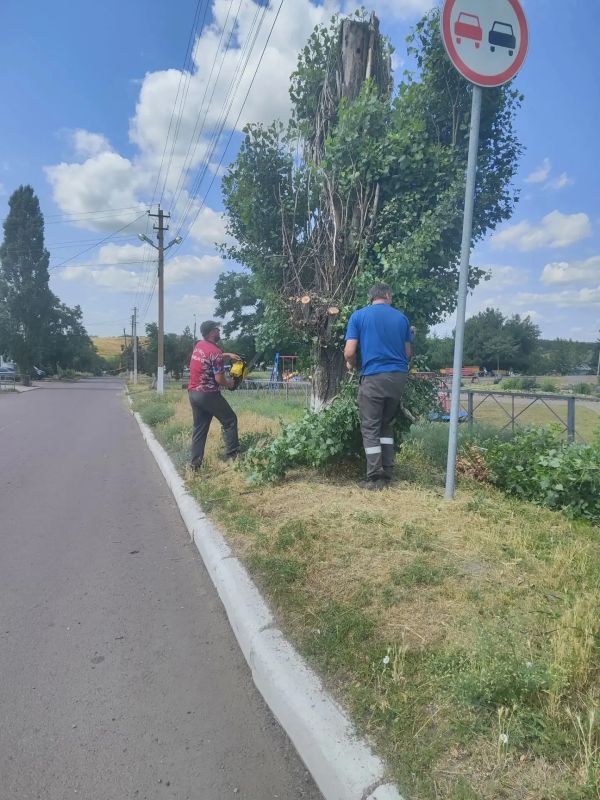 На территории Володарского муниципального округа исходя из ранее данных поручений Главы Донецкой Народной Республики Дениса Владимировича Пушилина продолжается спил и кронирование аварийных деревьев На территории Володарского муниципального округа исходя из ранее данных поручений Главы Донецкой Народной Республики Дениса Владимировича Пушилина продолжается спил и кронирование аварийных деревьев