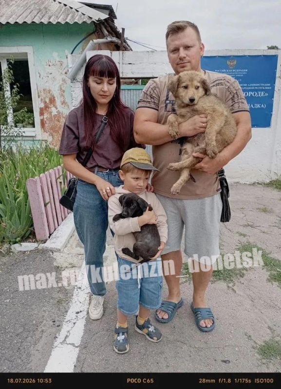 Работники предприятия «Животные в городе» ведут активную работу по помощи бездомным животным: занимаются их отловом, обеспечивают ветеринарное сопровождение и делают всё возможное, чтобы у каждого питомца появилась семья Работники предприятия «Животные в городе» ведут активную работу по помощи бездомным животным: занимаются их отловом, обеспечивают ветеринарное сопровождение и делают всё возможное, чтобы у каждого питомца появилась семья