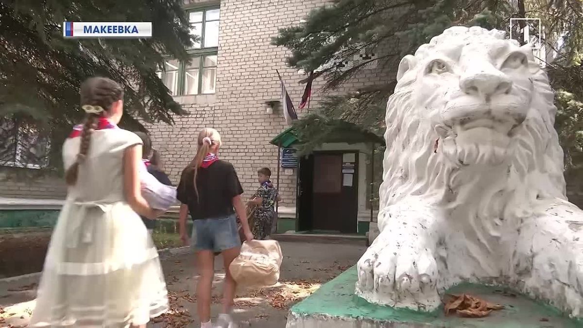 Сто килограммов макулатуры – одно спасённое дерево