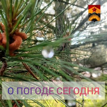 Гидрометцентр сообщил о погоде в Шахтерском округе