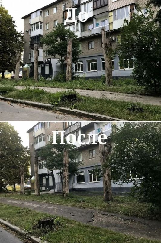 В Центрально-Городском районе продолжаются работы по благоустройству В Центрально-Городском районе продолжаются работы по благоустройству