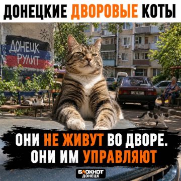 Прислать новость. Подпишись на Блокнот в ТГ или МАХ