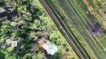 При освобождении Шевченко в ДНР украинские войска понесли большие потери в солдатах и технике, сообщает Минобороны России