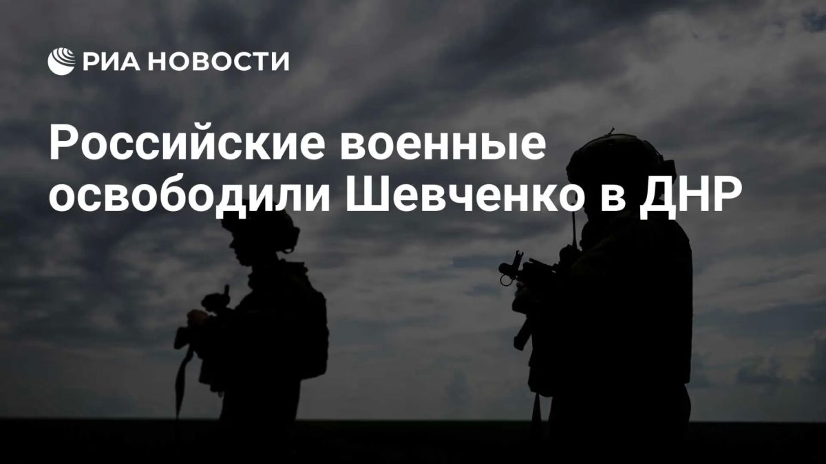 Российские войска освободили Шевченко в ДНР, сообщили в Минобороны