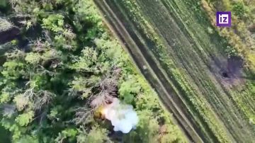 Кадры освобождения населённого пункта Шевченко в ДНР опубликовало Минобороны РФ