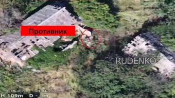 Андрей Руденко: Артиллеристы Южной группировки войск продолжают наносить точные удары по живой силе противника, поддерживая действия наступающих подразделений на Краматорском направлении