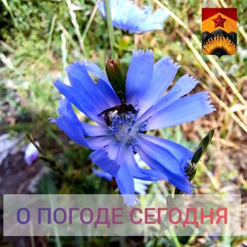 Гидрометцентр сообщил о погоде в Шахтерском округе