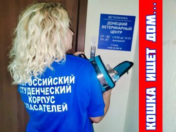 История, от которой сжимается сердце…
