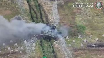 Украинский БТР-4Е уничтожен по дороге на Васютинское под Краматорском