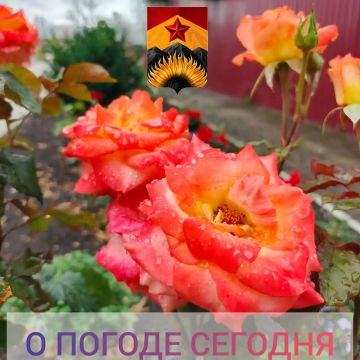 Гидрометцентр сообщил о погоде в Шахтерском округе