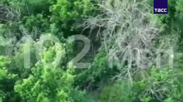 ������ ��� �������� ����������� ������ ������� ����� ������ ����������� �������� ��� ������������ ���������� ���, �������� � �� ��
