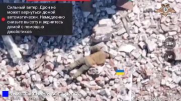 ����� ������������ ��������� �� ���������� ��������