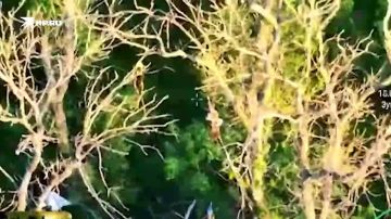 ����� �� �� ���������� ����� ����������� ������������ ��������� � ���