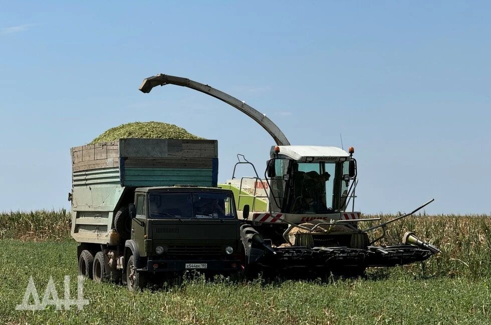 Кабмин: ситуация с топливом в АПК улучшается, аграрии ведут уборку в регионах