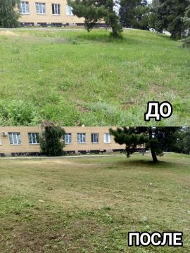 В Старобешевском округе продолжаются работы по очистке территорий от сорной растительности