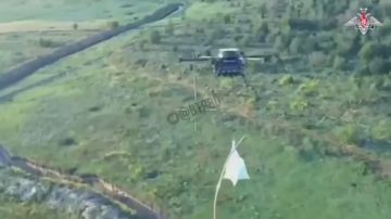 Российские войска освободили населенный пункт Красноярское Донецкой Народной Республики, сообщает МО РФ