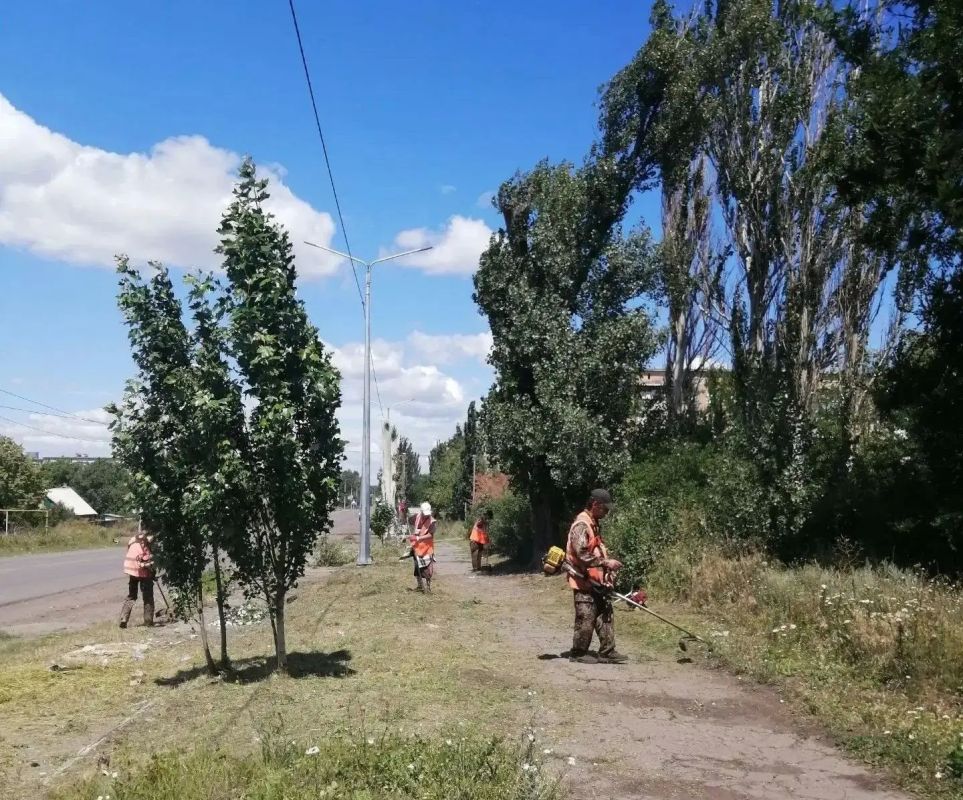 Коммунальщики Снежного продолжают благоустраивать территории общего пользования Коммунальщики Снежного продолжают благоустраивать территории общего пользования