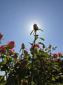 30 ���� � �������:. ���������� ����������, ��� ������������ �������