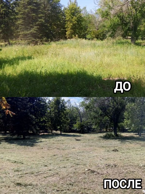 В Старобешевском округе продолжаются работы по очистке территорий от сорной растительности В Старобешевском округе продолжаются работы по очистке территорий от сорной растительности