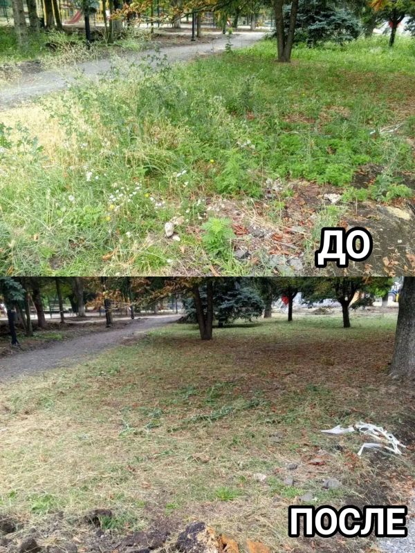 В Старобешевском округе продолжаются работы по очистке территорий от сорной растительности В Старобешевском округе продолжаются работы по очистке территорий от сорной растительности