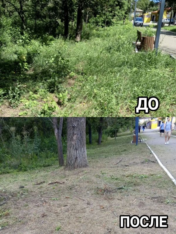 В Старобешевском округе продолжаются работы по очистке территорий от сорной растительности В Старобешевском округе продолжаются работы по очистке территорий от сорной растительности