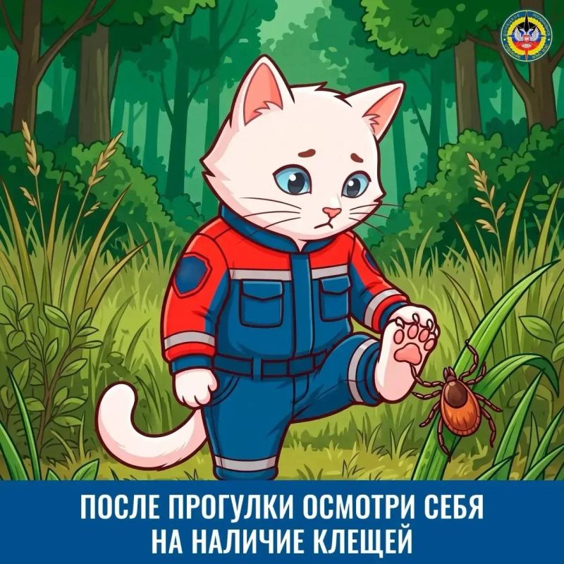 Как обезопасить отдых на природе? Как обезопасить отдых на природе?