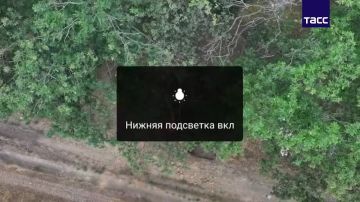 Бойцы Южной группировки уничтожили пехоту, автомобиль и пункт управления дронами ВСУ в ДНР, сообщили в МО РФ
