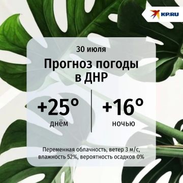 ДНР в четверг ждет теплый день