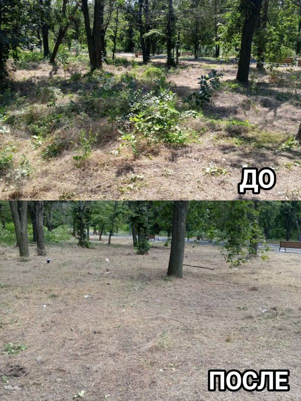 В Старобешевском округе продолжаются работы по очистке территорий от сорной растительности В Старобешевском округе продолжаются работы по очистке территорий от сорной растительности