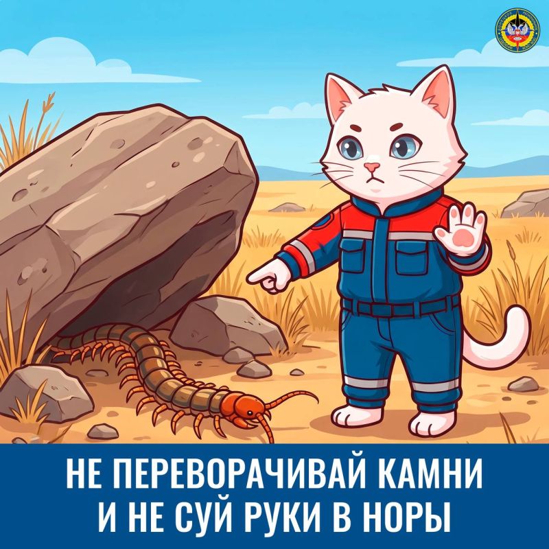 Как обезопасить отдых на природе? Как обезопасить отдых на природе?