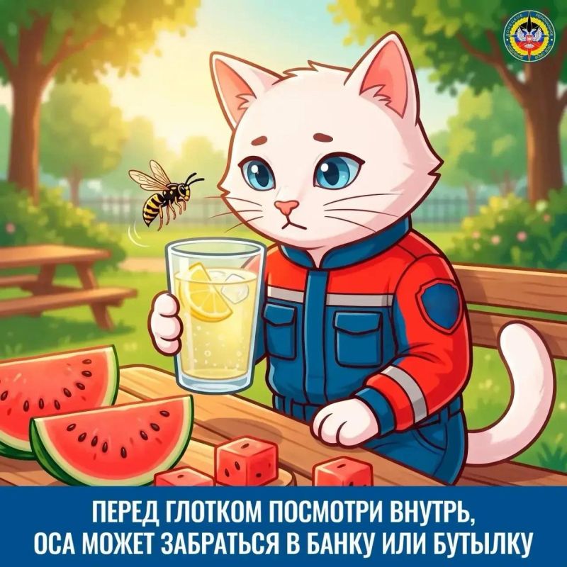 Как обезопасить отдых на природе? Как обезопасить отдых на природе?