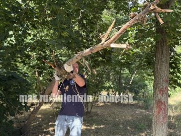 Алексей Кулемзин: Акция «Чистый четверг» во всех районах Донецка!