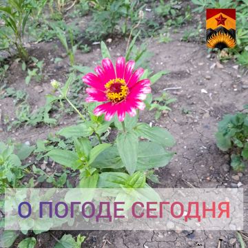 ������������� ������� � ������ � ���������� ������