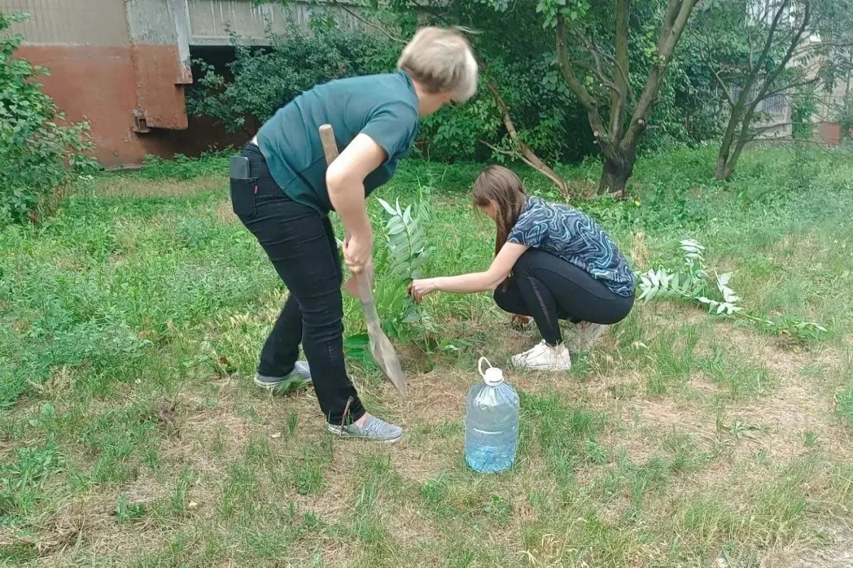Дворы Горловки преображаются: высажены новые деревья и кустарники Дворы Горловки преображаются: высажены новые деревья и кустарники